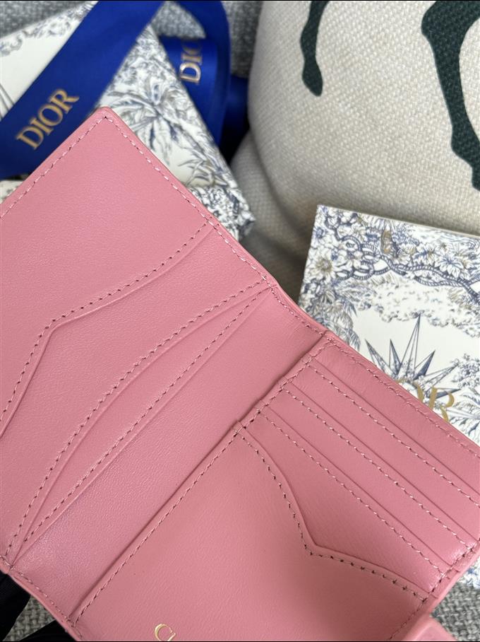 2025228Y250P203546547