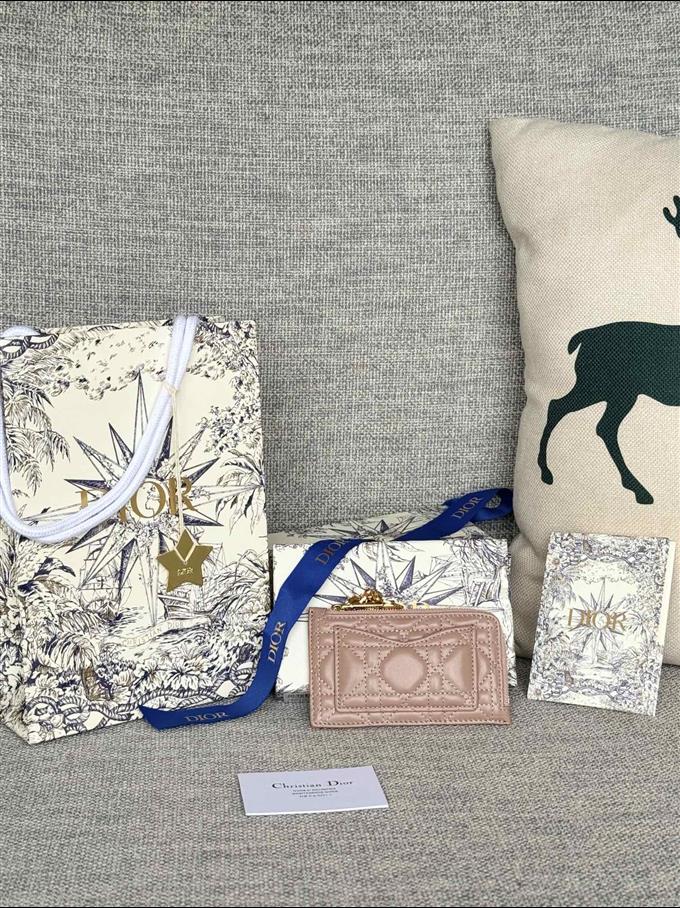 2025228Y250P20377371