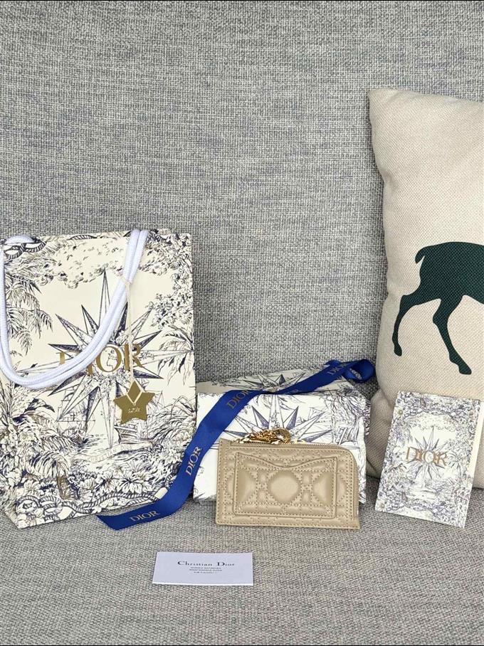 2025228Y250P20377513