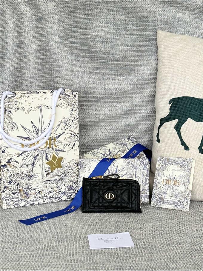 2025228Y250P20378223