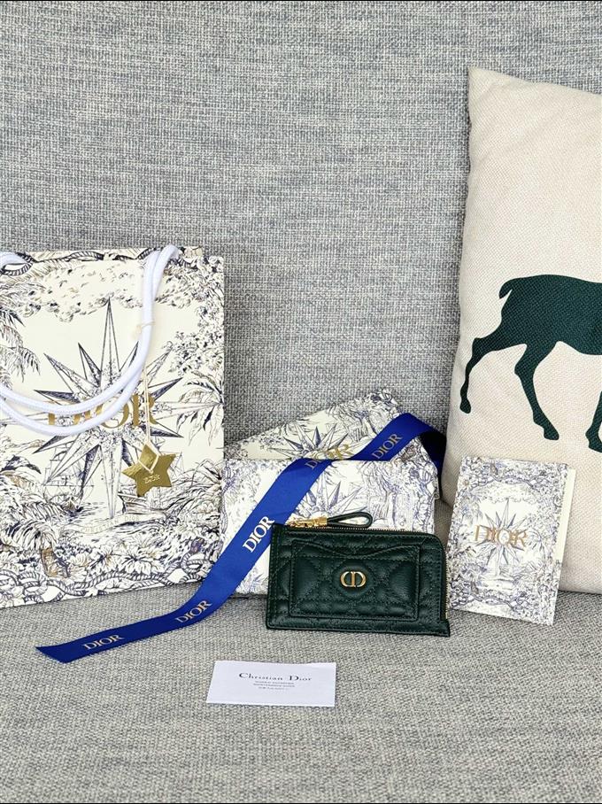 2025228Y250P20378367