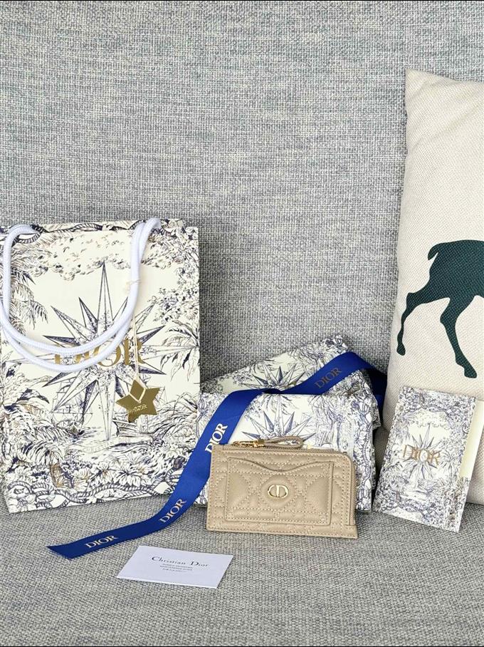 2025228Y250P20378936