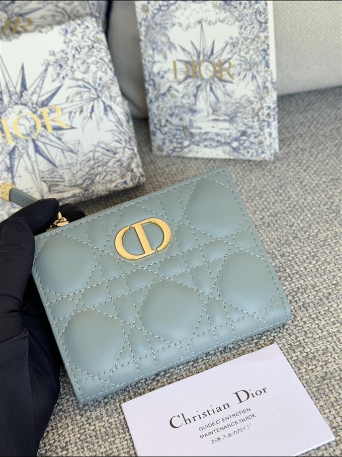 2025228Y260P182131542