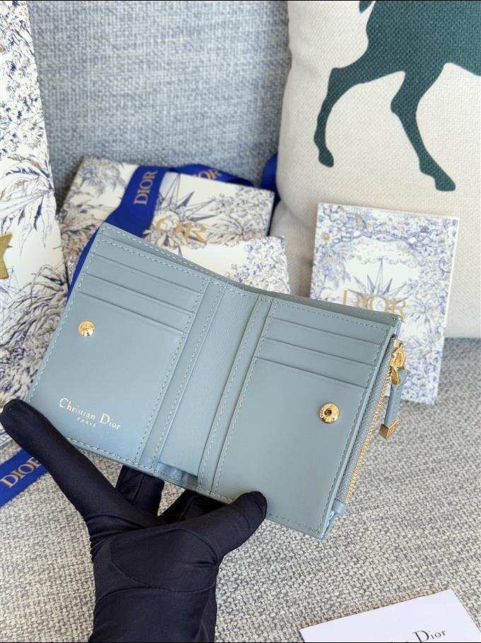 2025228Y260P182131558