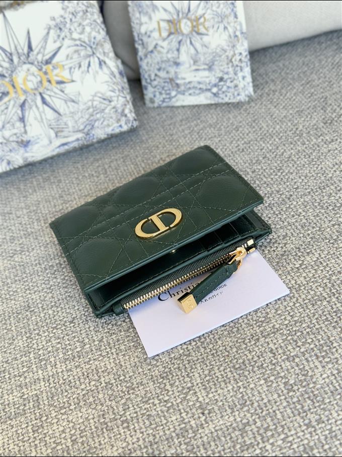 2025228Y260P182131651