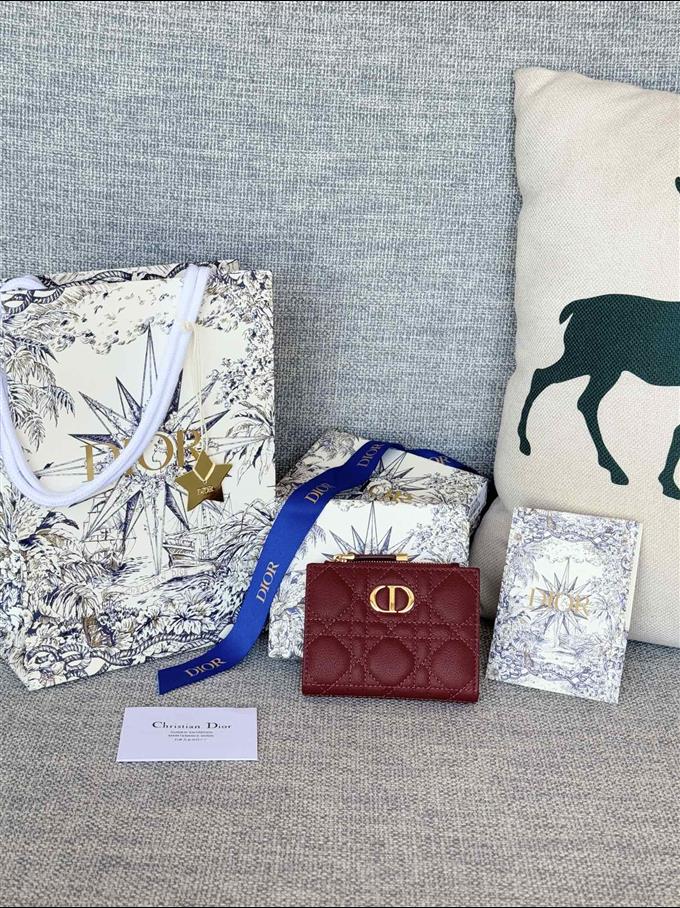 2025228Y260P182131905