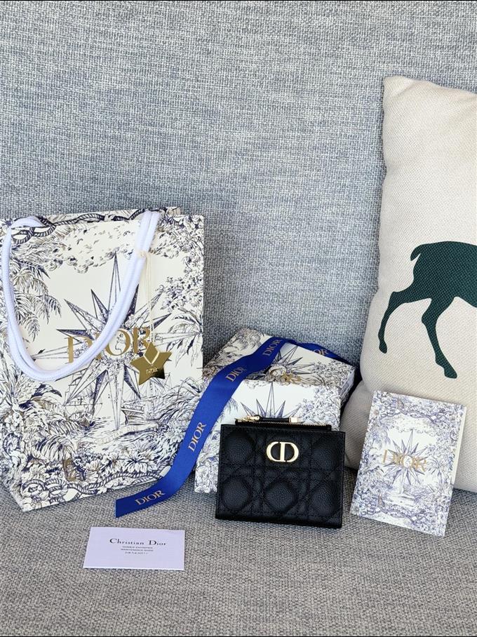 2025228Y260P182132187