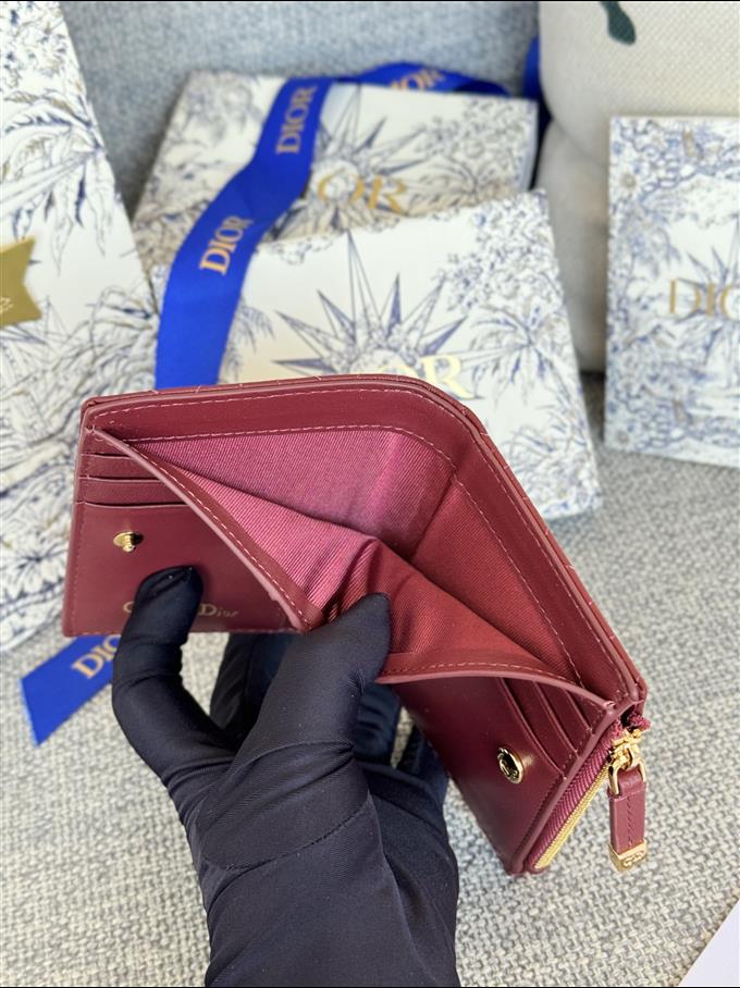 2025228Y260P18213228