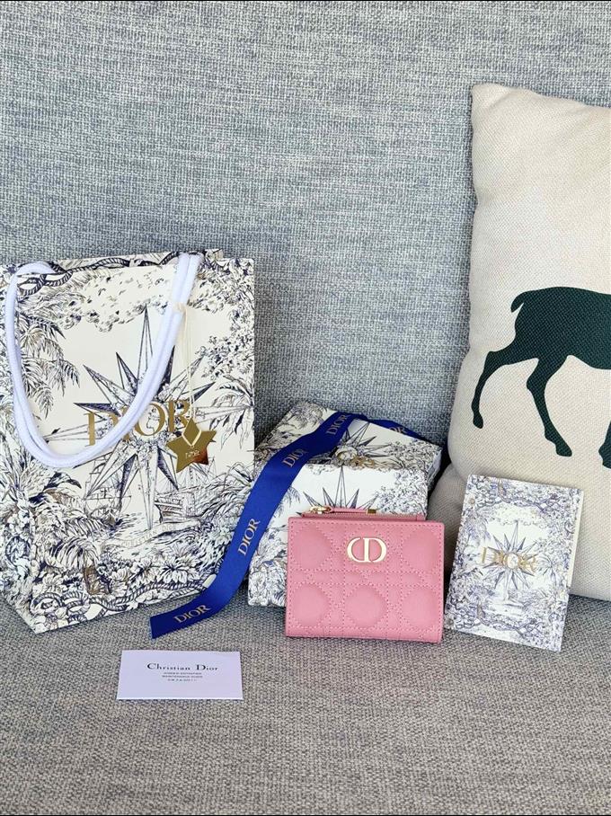 2025228Y260P18213245