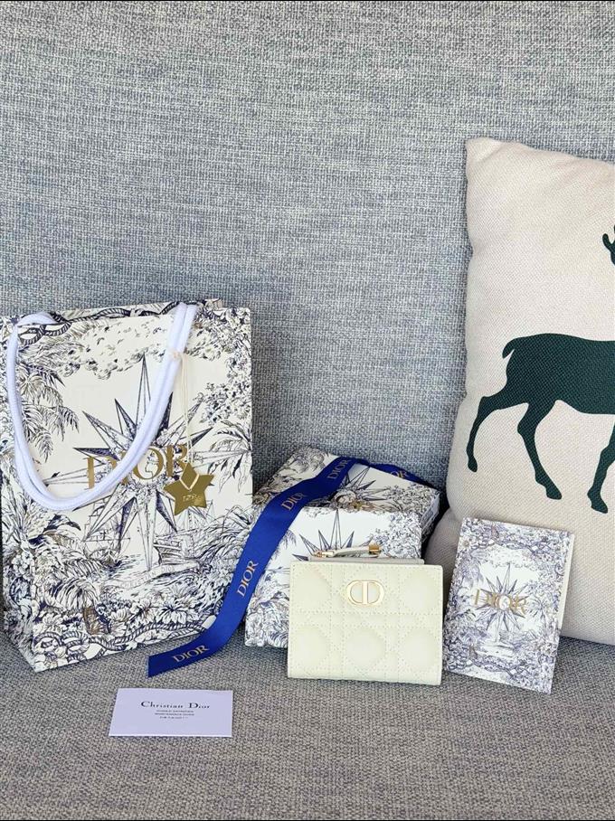 2025228Y260P182132469