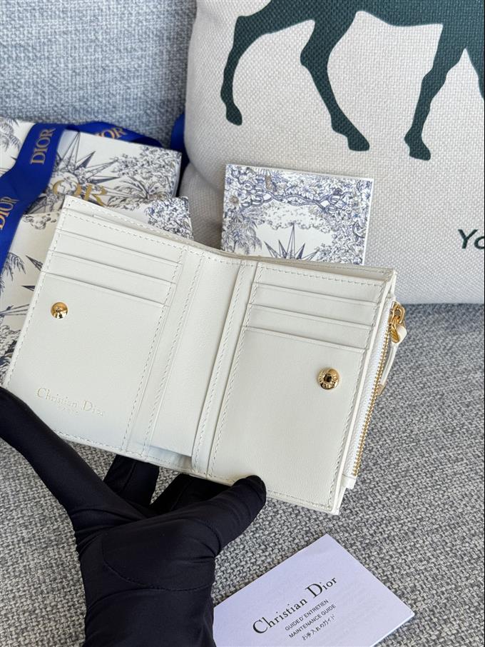 2025228Y260P182132546