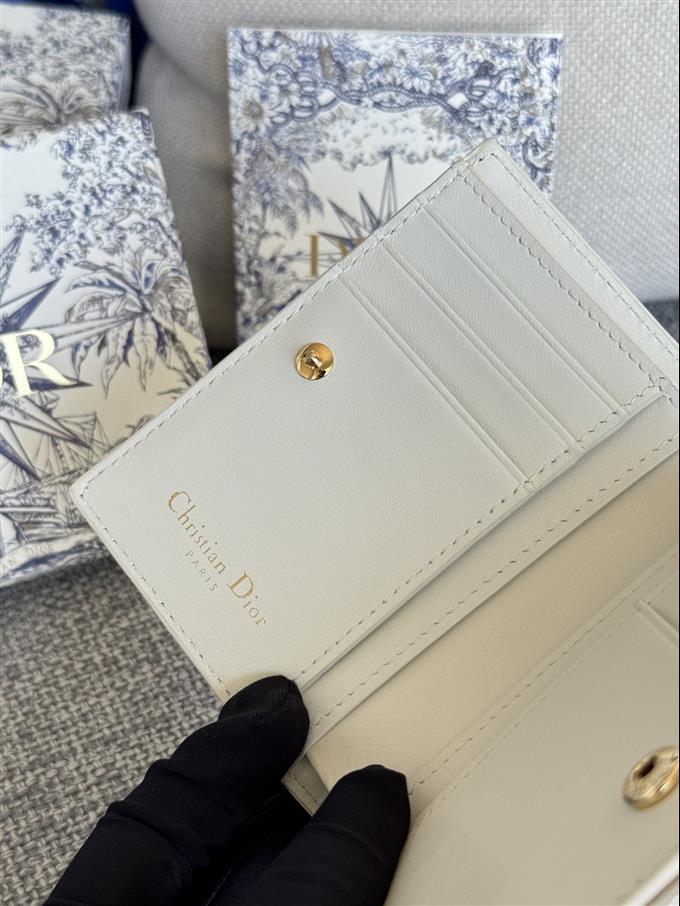 2025228Y260P182132562