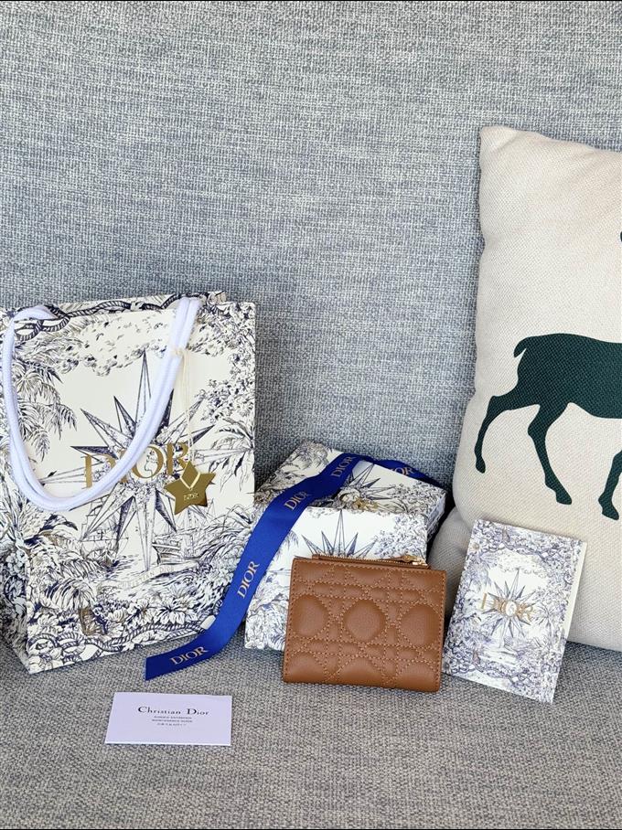 2025228Y260P182132624