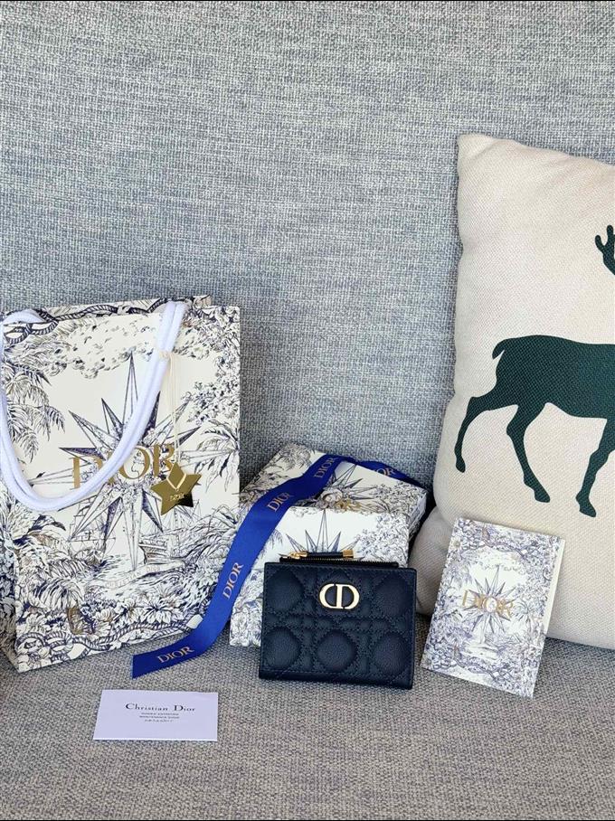 2025228Y260P182132749