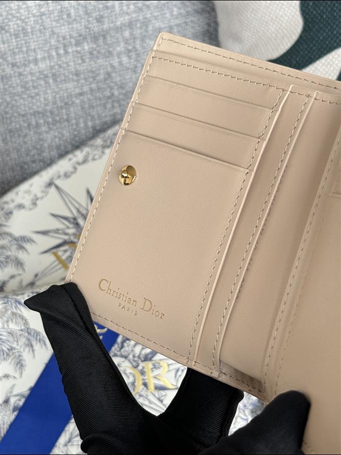 2025228Y260P18213317