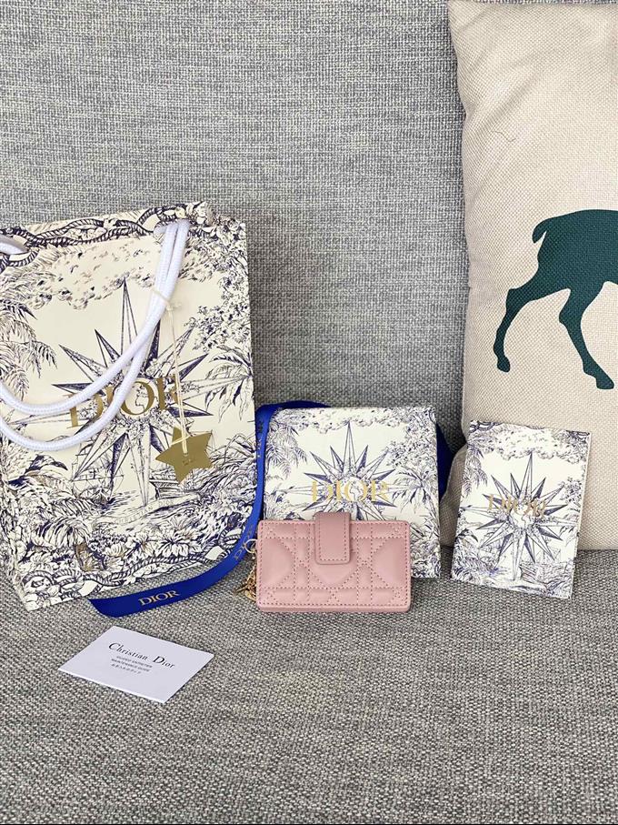 2025228Y260P203546845