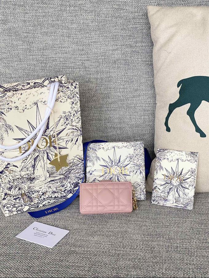 2025228Y260P203546860