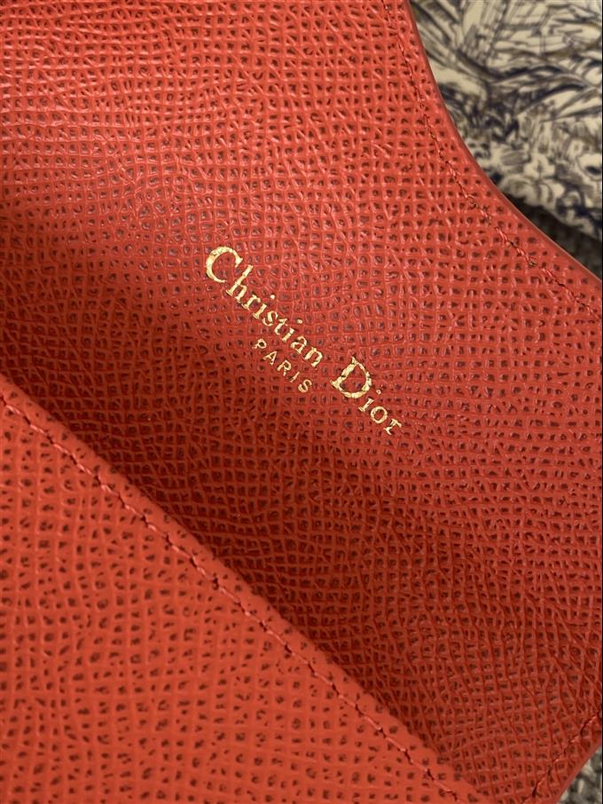 2025228Y260P203547365