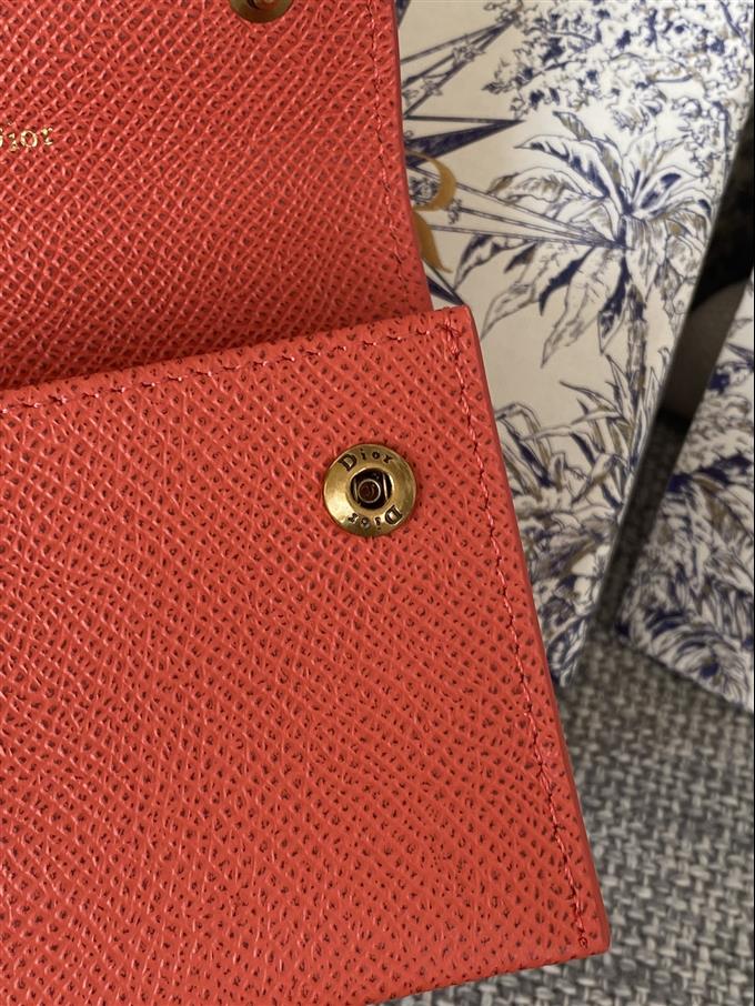 2025228Y260P203547381