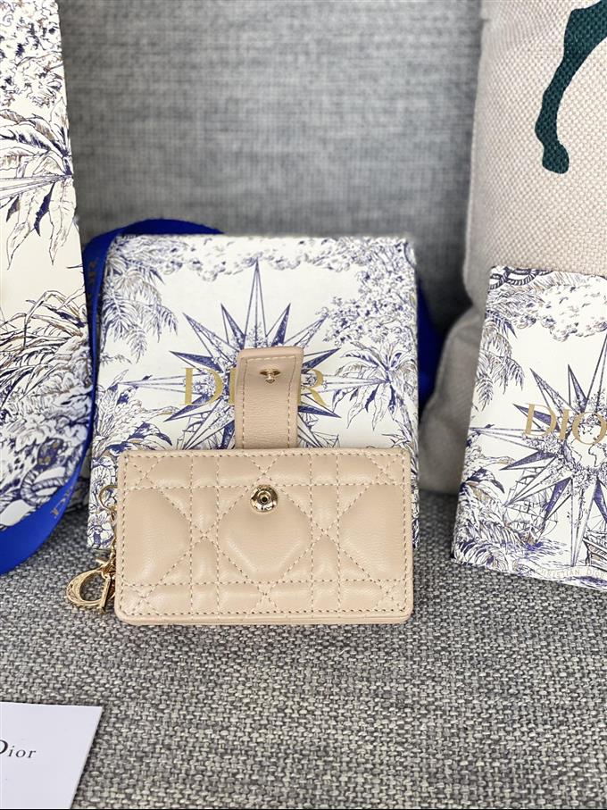 2025228Y260P20354779