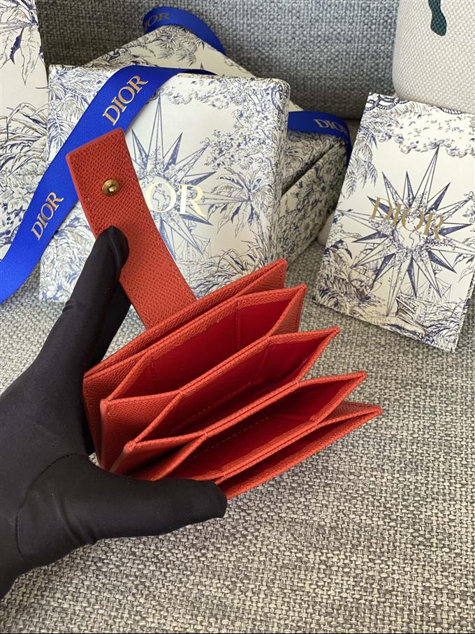 2025228Y260P203547942