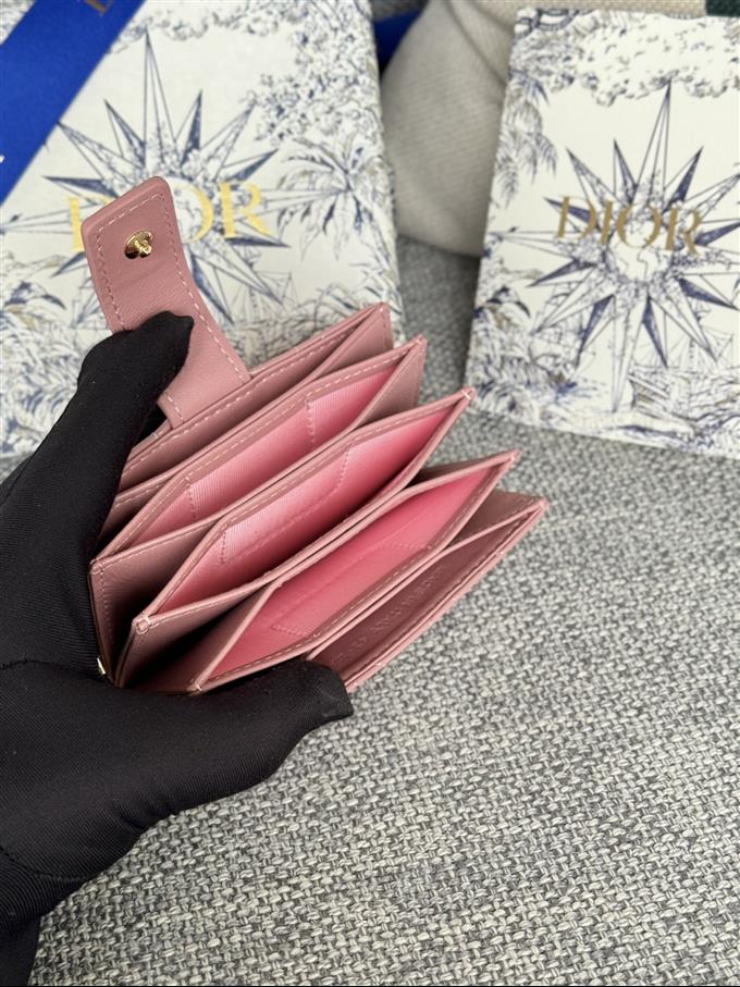 2025228Y260P203548788