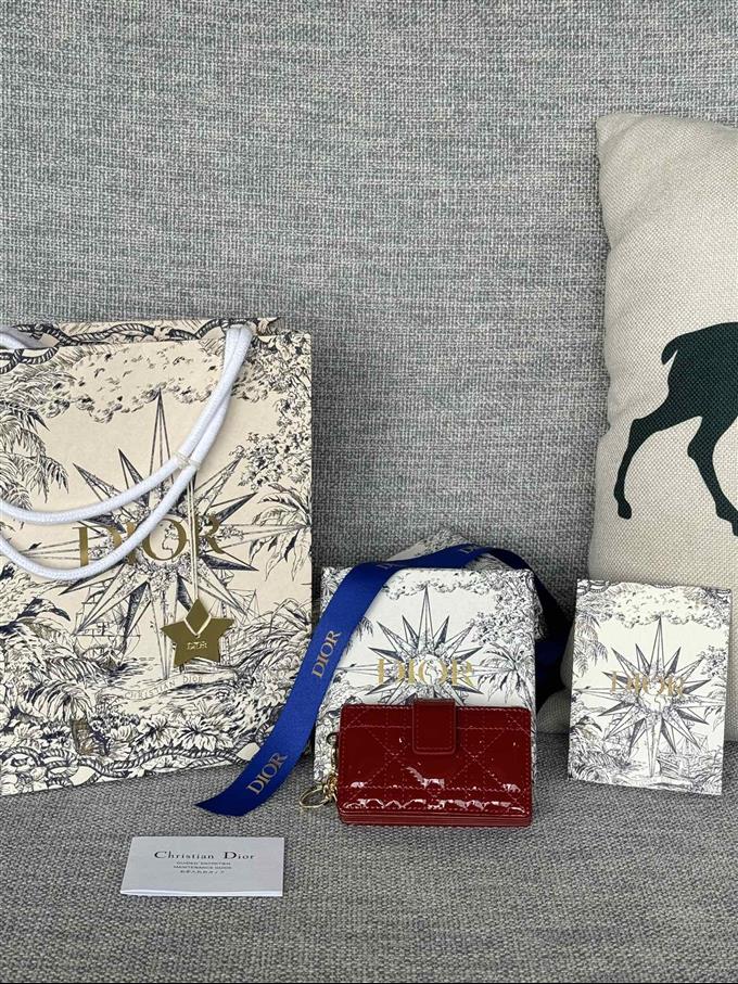 2025228Y260P203548819