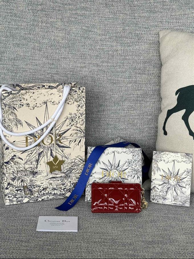 2025228Y260P203548835