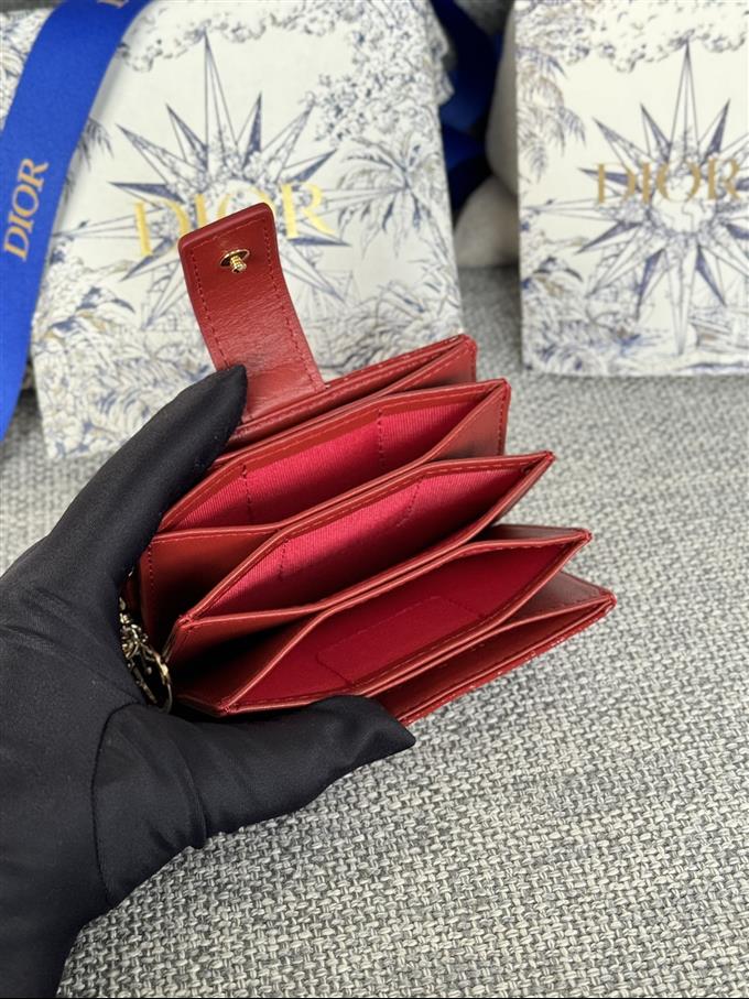 2025228Y260P203548913