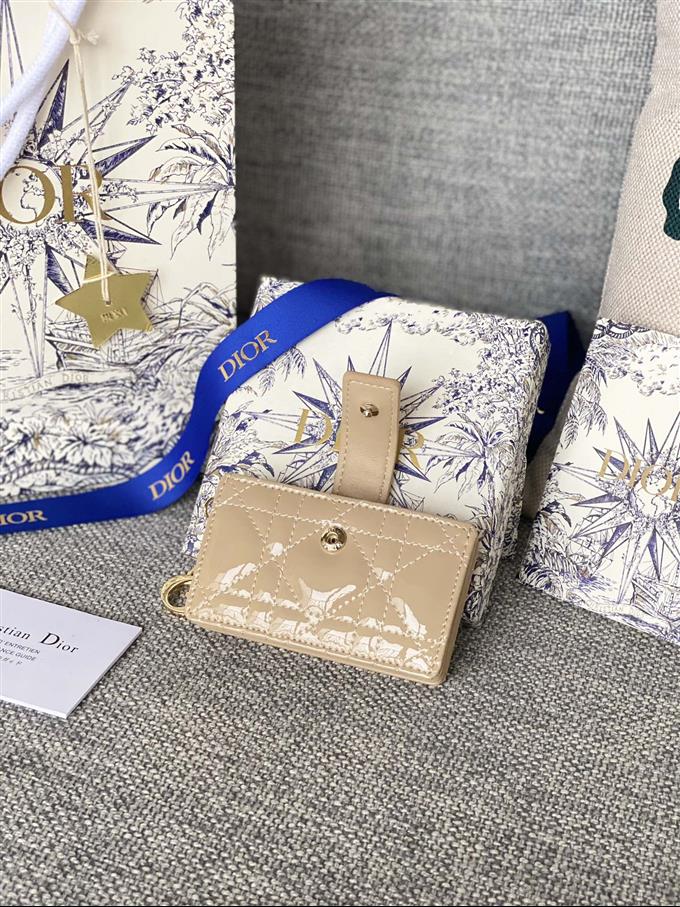 2025228Y260P203549764