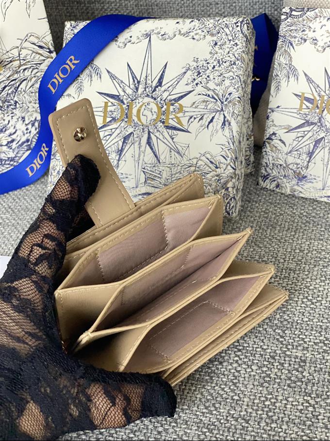 2025228Y260P203549780