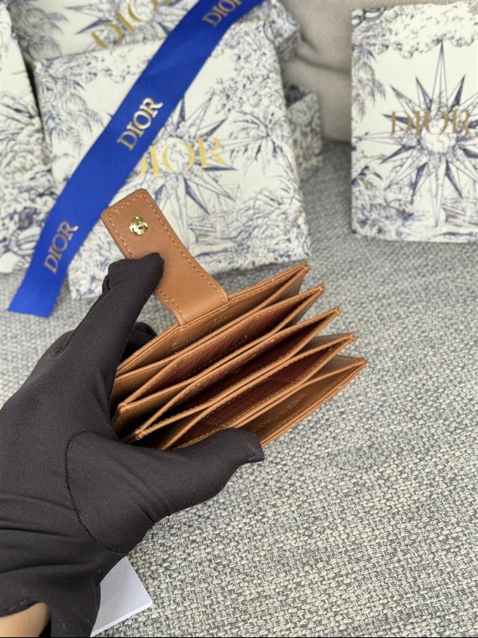 2025228Y260P203550329