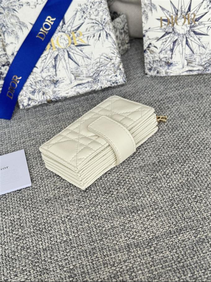 2025228Y260P203550406