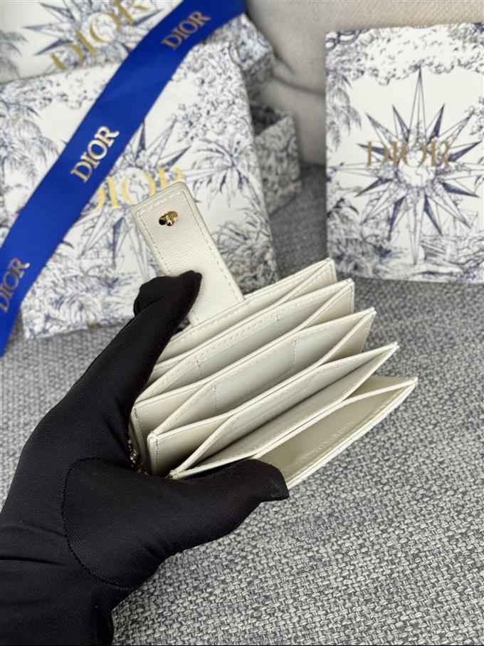 2025228Y260P203550469