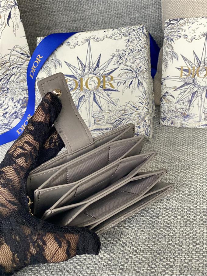 2025228Y260P20355048