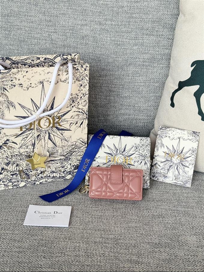 2025228Y260P203550516