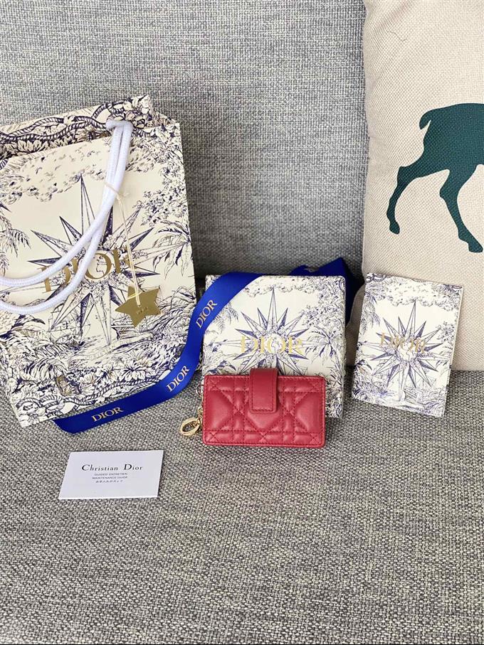 2025228Y260P203550657