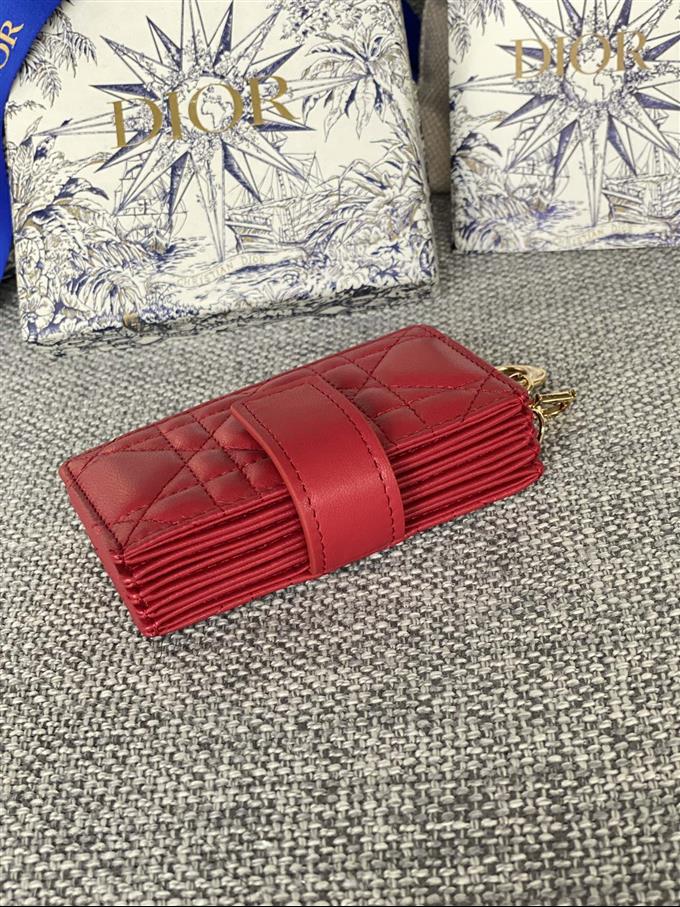 2025228Y260P203550689