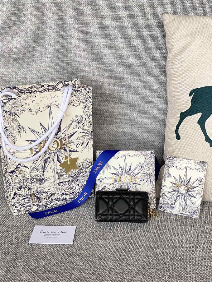 2025228Y260P203550956