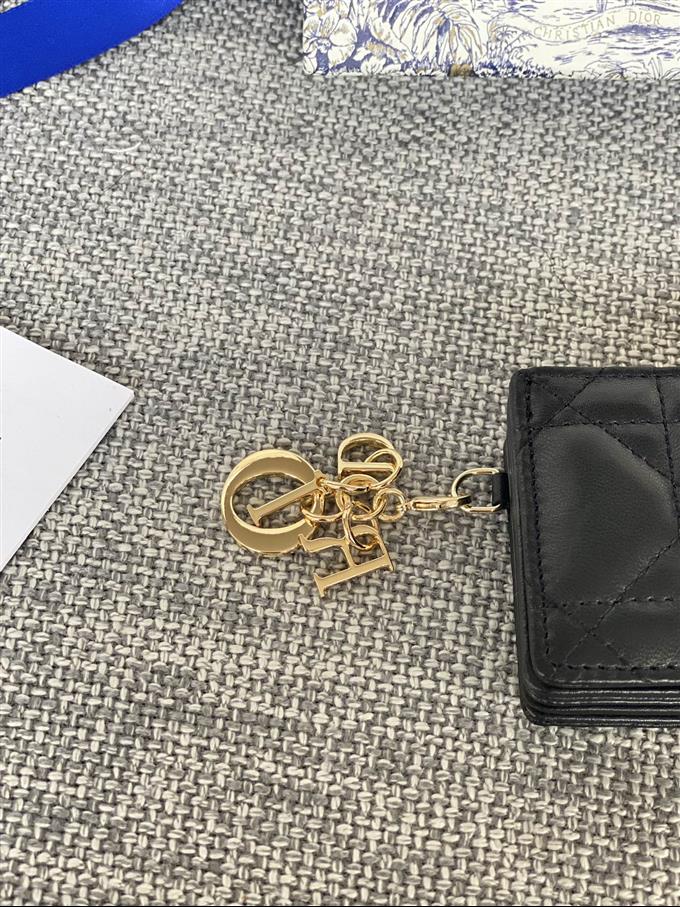 2025228Y260P20355118