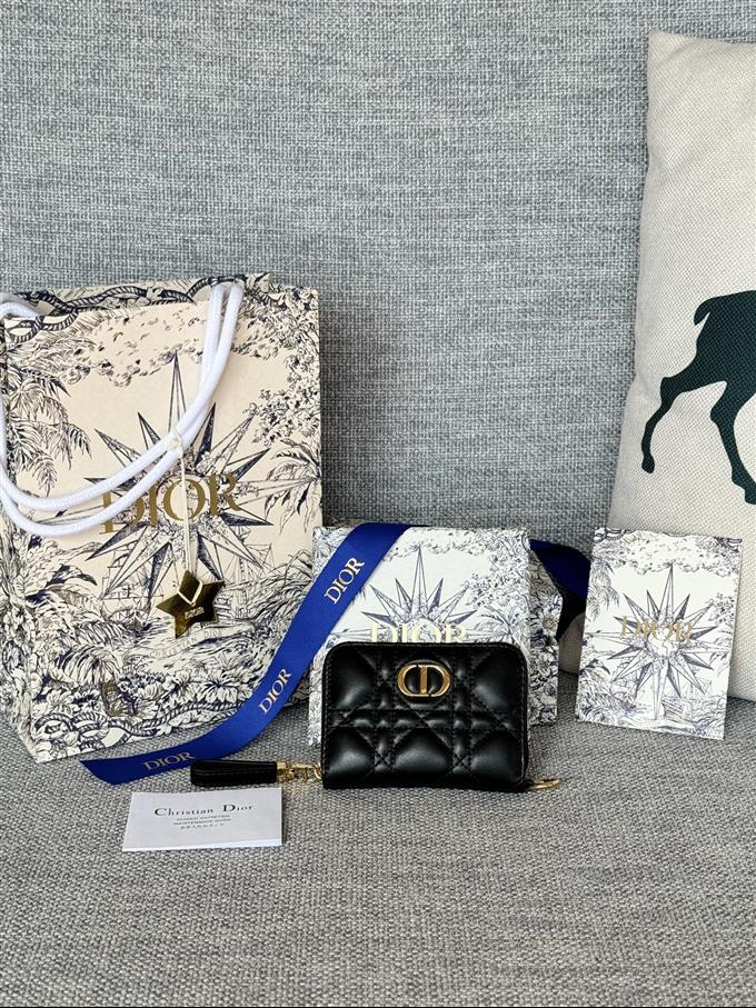 2025228Y270P182133600