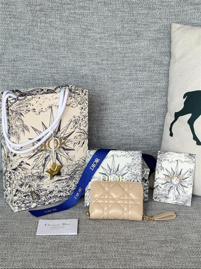 2025228Y270P182133759