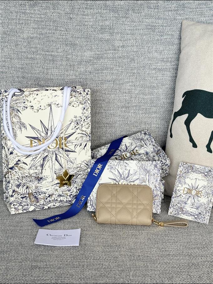 2025228Y270P182134512