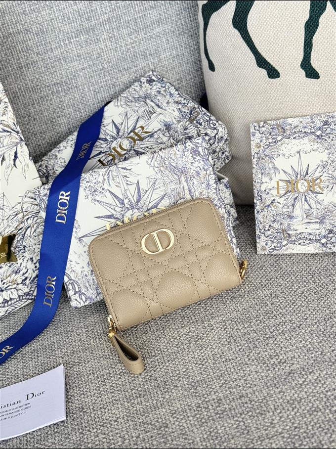 2025228Y270P182134528