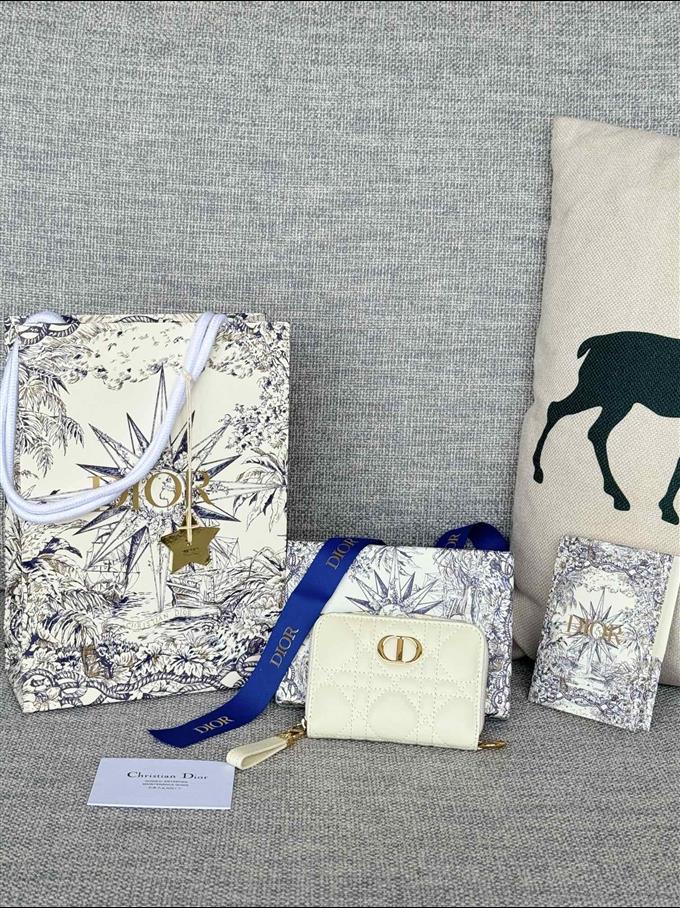 2025228Y270P182134781