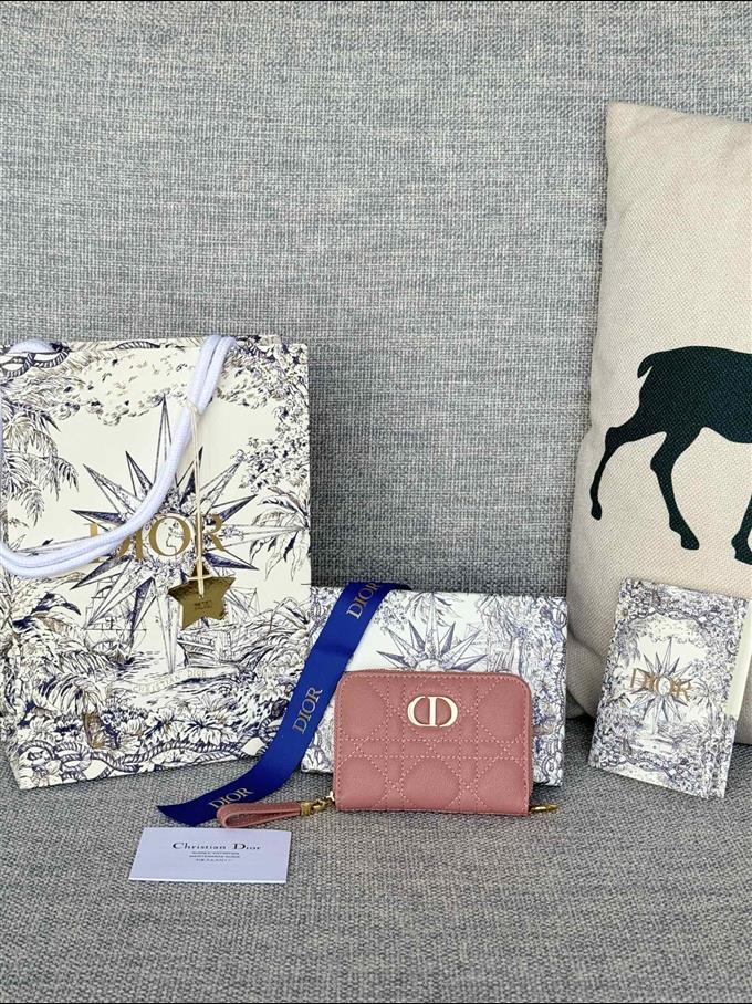 2025228Y270P182135206