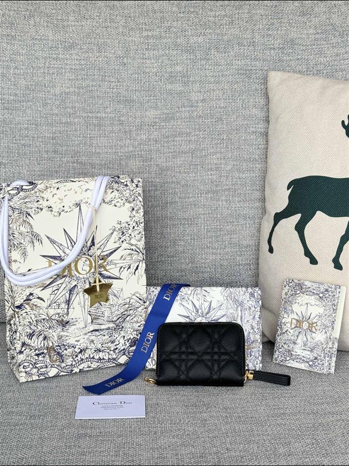 2025228Y270P182135646