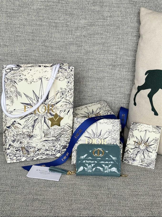 2025228Y270P182136217