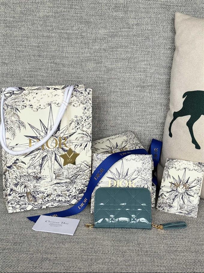 2025228Y270P182136230