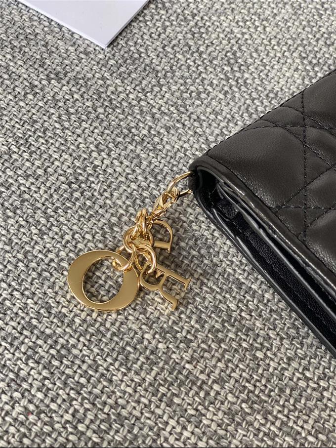 2025228Y310P203710393